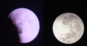 (Foto: Infobae/ Alfonso Sotelo)