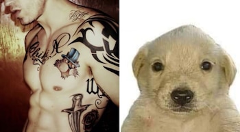 El poderoso mensaje de Iván