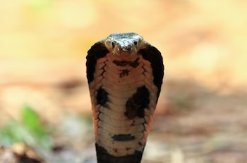 La formación y la concientización