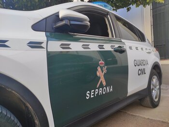 Coche del Servicio de Protección