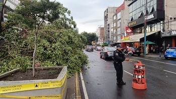 Bloqueos viales y manifestaciones en