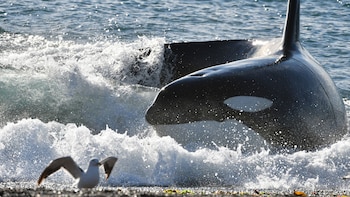 Imagne de archivo de una