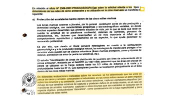 Imarpe confirma científicamente que artes