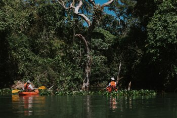 Las actividades en Iberá, desde