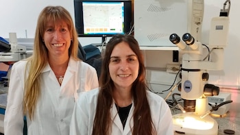 Con colaboradores, Ana Carolina Ronda