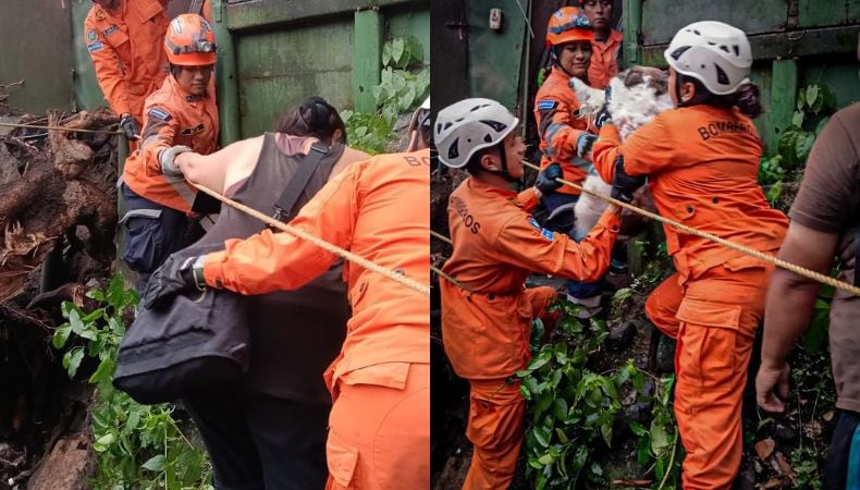 El árbol derribado bloqueó la vivienda en el pasaje 100 de la avenida 29 de Agosto y obligó a ejecutar tareas de despeje y mitigación de riesgos. (Cortesía: Bomberos de El Salvador)