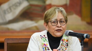 Martha Guerrero descartó ataque por