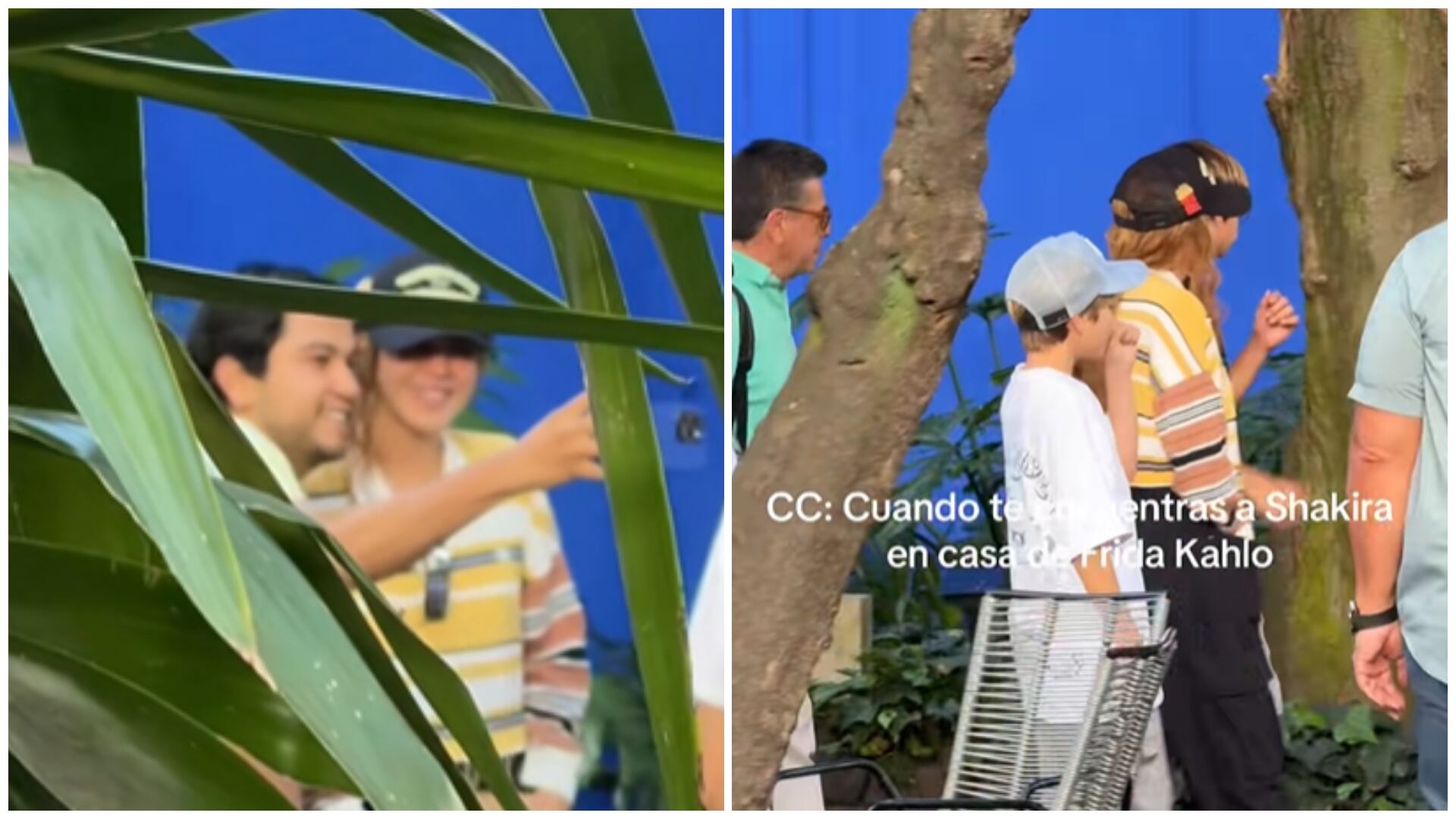 (TikTok: @javielias)