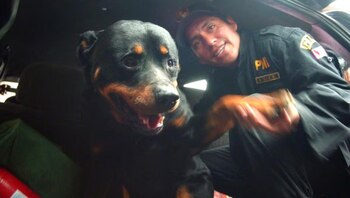 Lay Fun se convirtió en