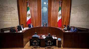 El TEPJF confirmó las sanciones del INE contra México Tiene Vida por irregularidades detectadas durante la fiscalización de recursos.