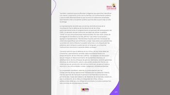 Mafe Carrascal aseguró que no indujo a la menor a decir una grosería - crédito