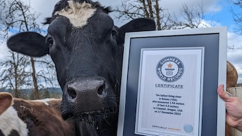 Ingresó al libro de los