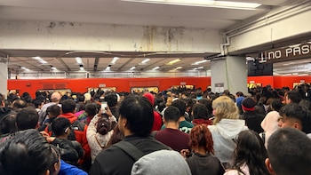 ¿Qué está pasando en el Metro y Metrobús CDMX hoy 10 de agosto?: rescatan a un perrito de las vías en Línea B