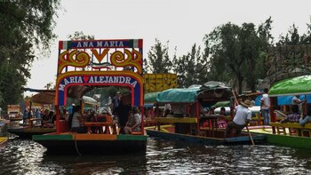 Crean tecnochinampas para limpiar y