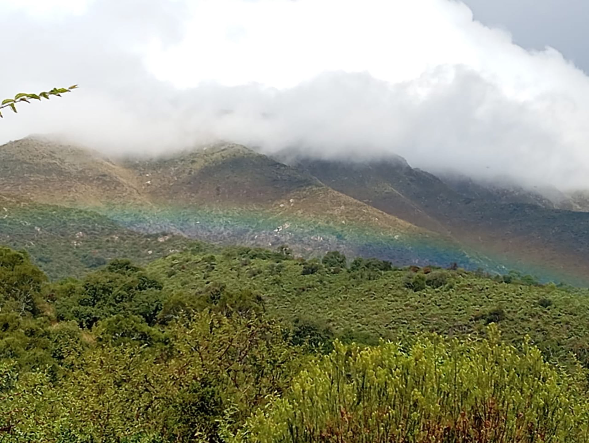 Así es el paisaje que tiene Jésica desde la ventana de su casa