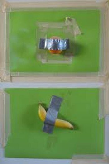 "Banana & orange", de Joe