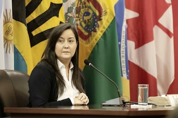 Türk se refirió al caso de activistas encarcelados, como Rocío San Miguel, y exigió su liberación (EFE)