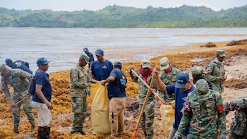 República Dominicana: Despliegan operativo de limpieza en Playa Rincón por llegada masiva de sargazo