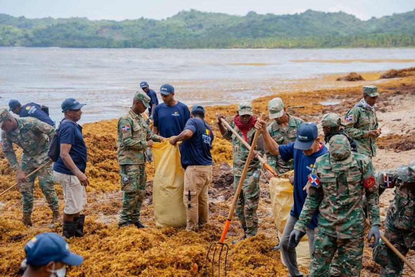El Ministerio de Turismo de República Dominicana desplegó un operativo de limpieza en Playa Rincón por la llegada masiva de sargazo. (Cortesía: Ministerio de Turismo de República Dominica)
