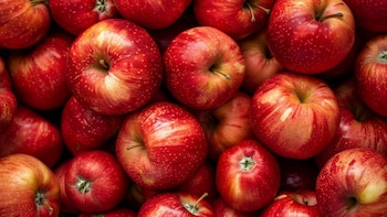 La capa cerosa natural de