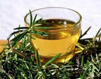 El romero seco conserva sus