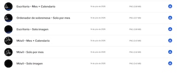 Captura de pantalla de una tabla con seis filas, cada una con un ícono circular, texto descriptivo, fecha, formato PNG, tamaño y un botón de descarga