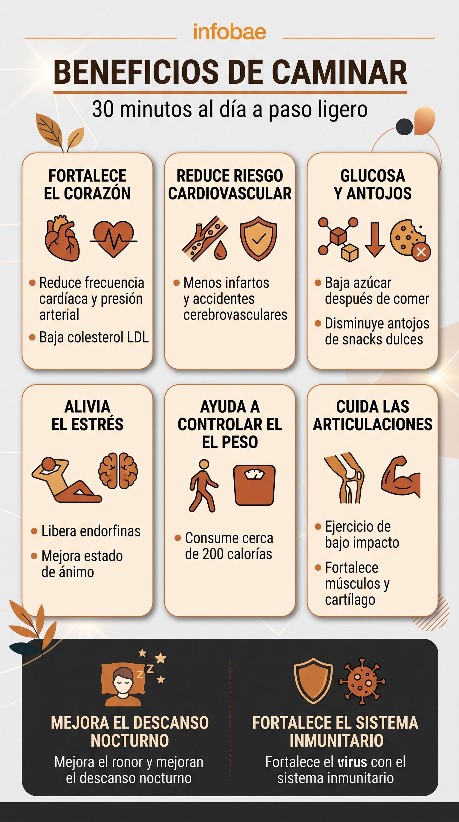 Una infografía de Infobae detalla los efectos positivos de caminar 30 minutos al día sobre la salud cardiovascular, el peso y el descanso. (Imagen Ilustrativa Infobae)