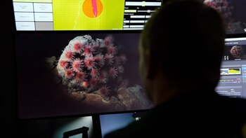 Los expertos a bordo del