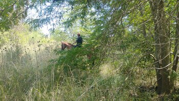 Así fue la búsqueda de