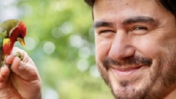 El dimorfismo en los picos