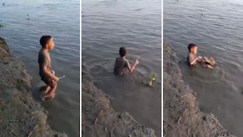 En video la impactante escena de un niño lavándole los dientes a un caimán: asegura que es su mejor amigo