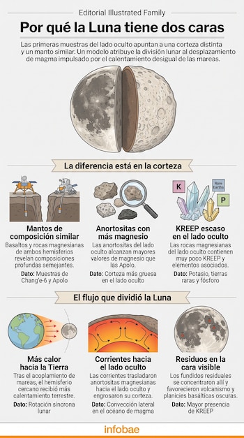 Infografía con un dibujo de la Luna dividida por la mitad y seis esquemas ilustrativos con textos explicativos sobre su corteza.