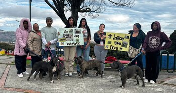 La comunidad y la familia