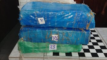 La marihuana incautada a Chialva