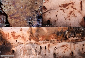 Una joya arqueológica, Cueva Dones