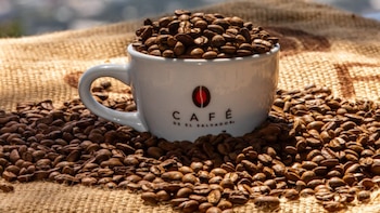 El café salvadoreño gana presencia en Roma durante el Foro Mundial de la Alimentación