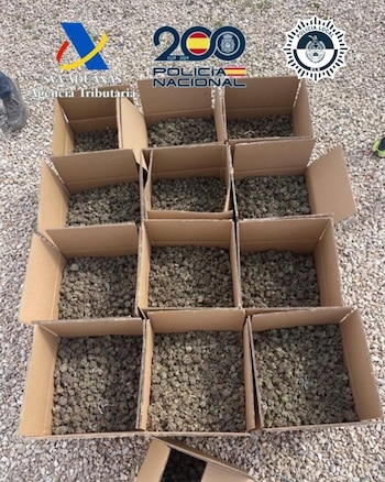 Imagen YNE75S34PBGDHN5LHZVPN4LRXY