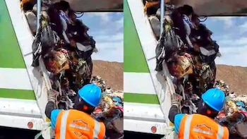 Una distracción casi le cuesta sus ahorros: recuperan 7 mil dólares en Arequipa
| Foto: Imagen Viva (Facebook)