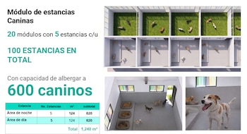 Se trata del cewntro animal más grande de México y el segundo en América Latina