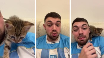 Virales- Su gato le dio like en instagram