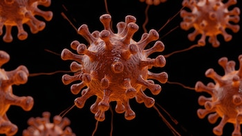 La infección fue aislada originalmente en el año 2006 en una mina artesanal ubicada en la región de Taveta. Su huésped natural es