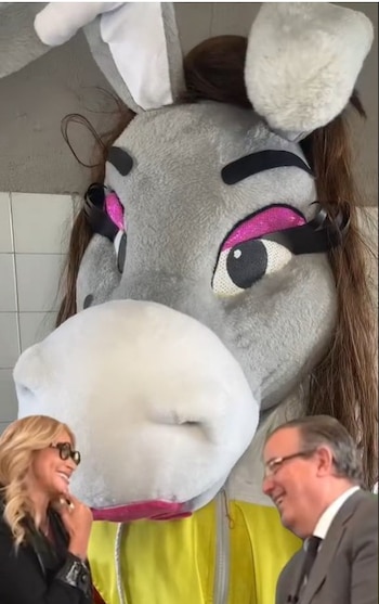 (TikTok: @burritaburronaoficial)