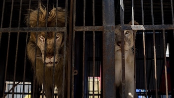 “Puede ser más fácil tratar