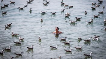 Detectan el virus de la