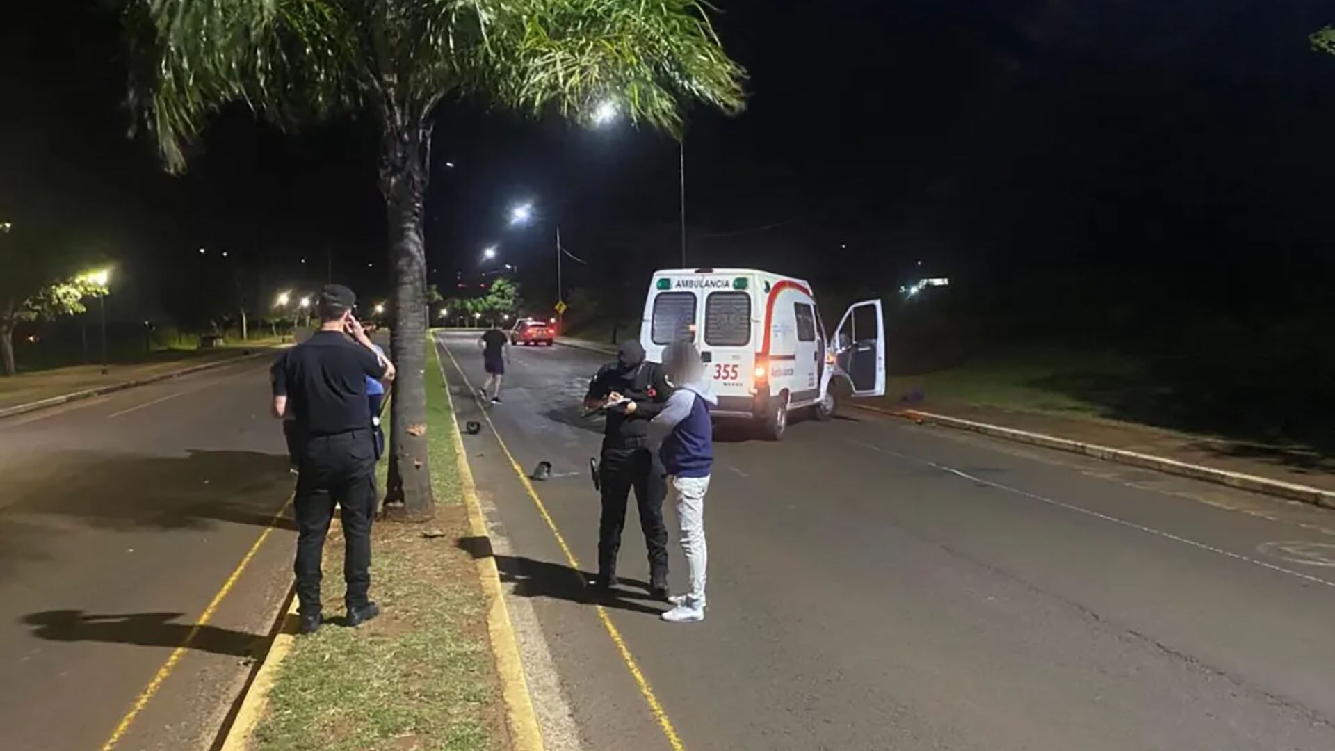 Ayer murió un funcionario del gobierno de Misiones, luego de despistar con su motocicleta (Policía de Misiones).