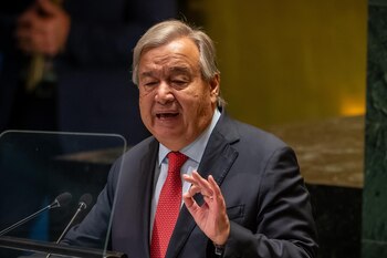 Imagen YNLYV7TGO5BMRFISF3YNNGZVJ4