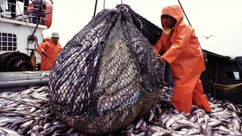 La humanidad mostró una preocupante