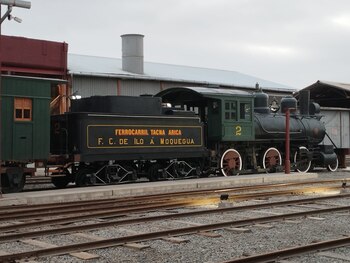 Conoce más sobre este importante