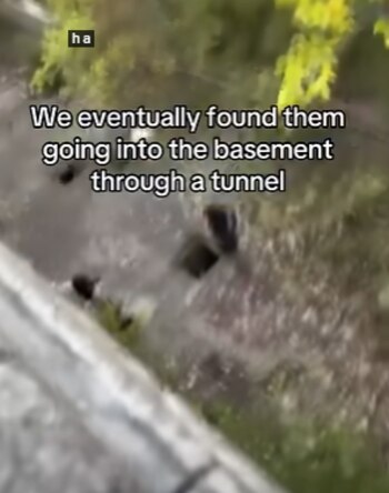 "Los encontramos tratando de llegar