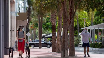 El increíble plan de Miami